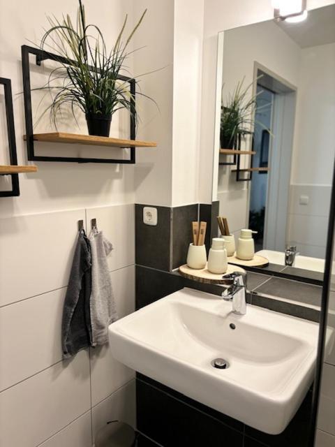 Charming Homes - Studio 10 볼프스부르크 외부 사진