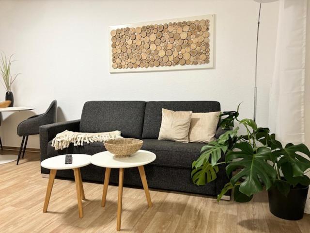 Charming Homes - Studio 10 볼프스부르크 외부 사진